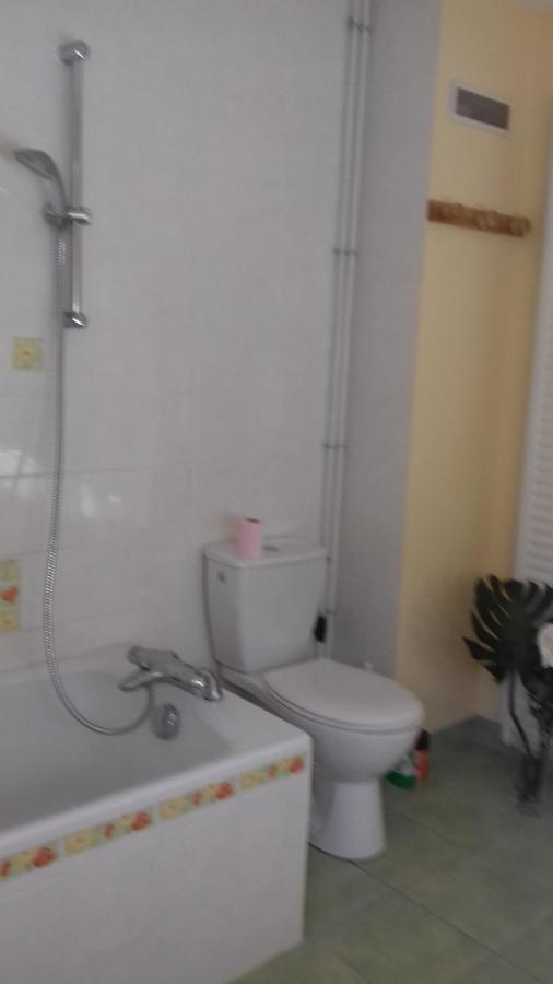Chambre Chez L Habitant Malguenac ภายนอก รูปภาพ